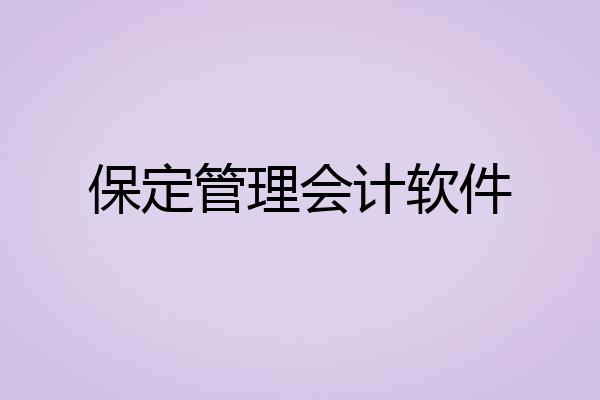 保定管理会计软件