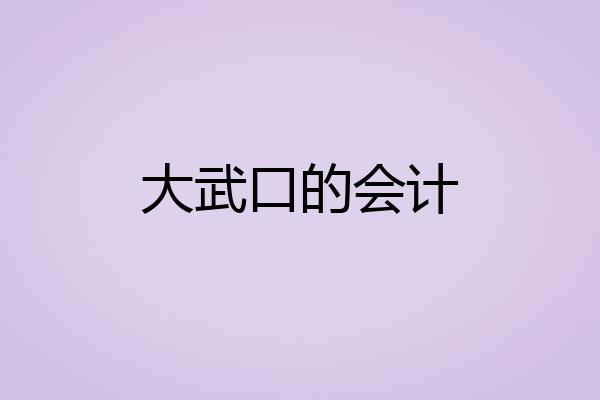 大武口的会计