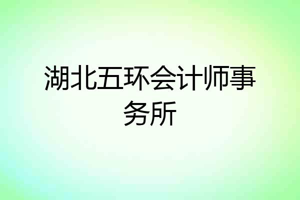 湖北五环会计师事务所