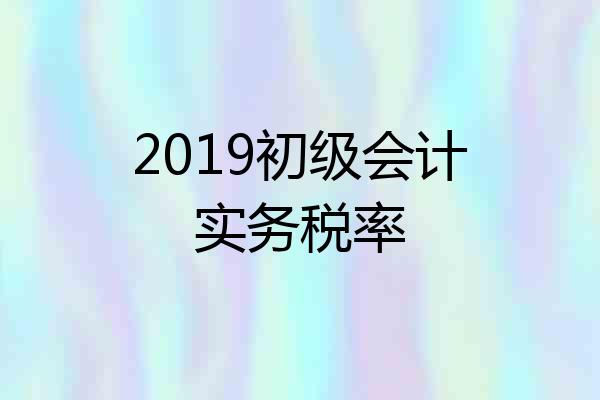 2019初级会计实务税率