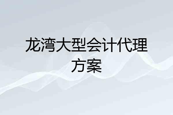 龙湾大型会计代理方案