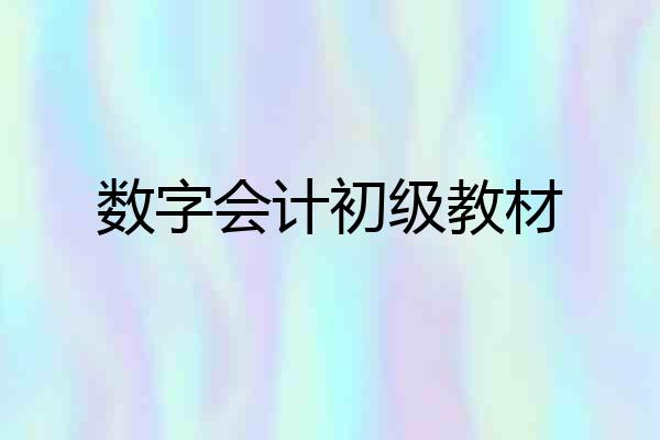 数字会计初级教材
