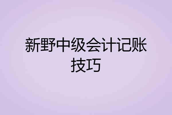 新野中级会计记账技巧