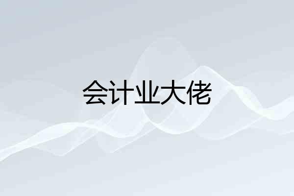 会计业大佬
