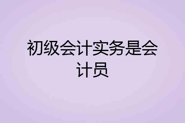 初级会计实务是会计员