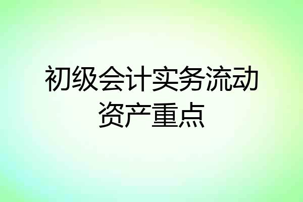 初级会计实务流动资产重点