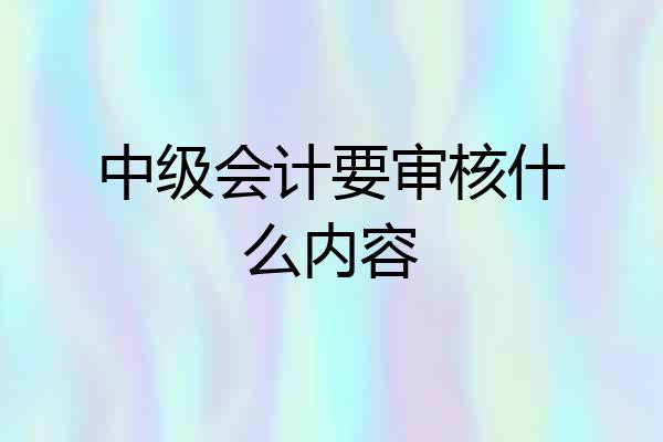 中级会计要审核什么内容