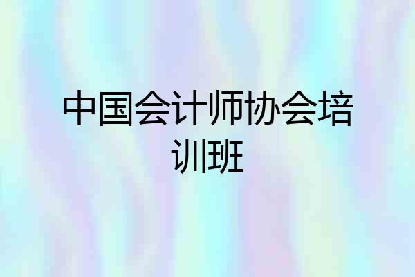 中国会计师协会培训班