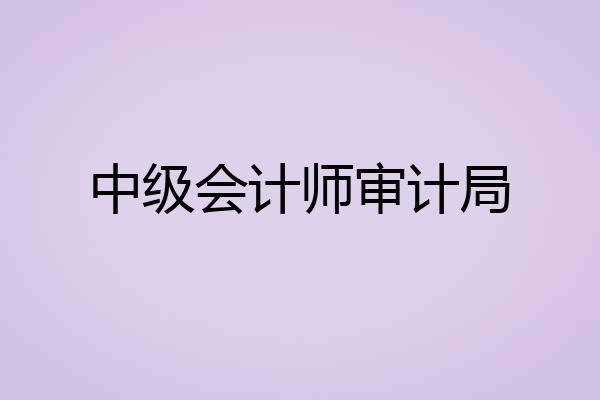 中级会计师审计局