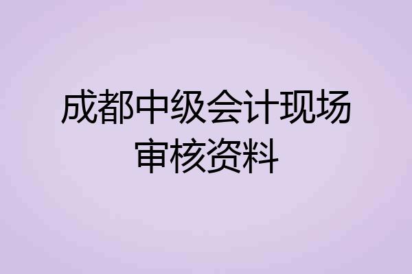 成都中级会计现场审核资料