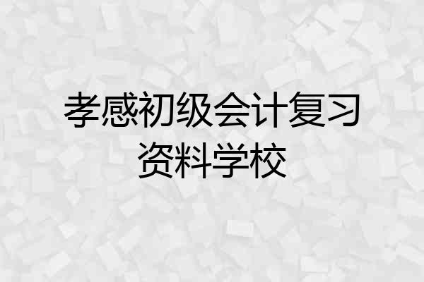 孝感初级会计复习资料学校