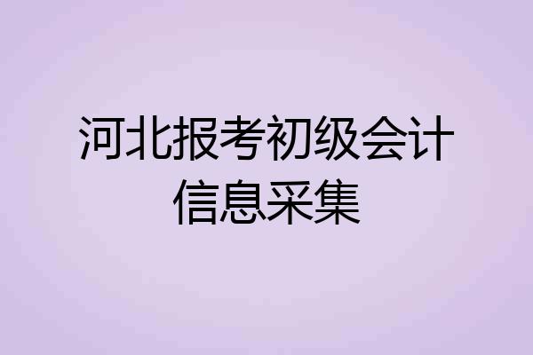 河北报考初级会计信息采集
