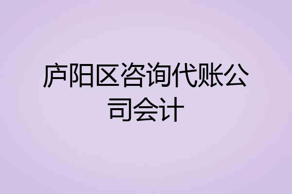 庐阳区咨询代账公司会计