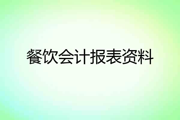 餐饮会计报表资料