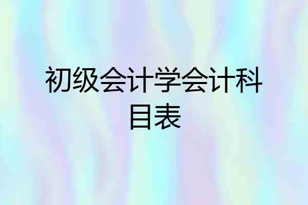 初级会计学会计科目表