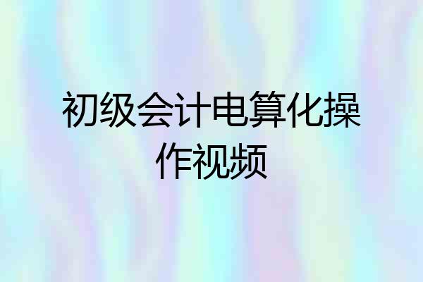 初级会计电算化操作视频