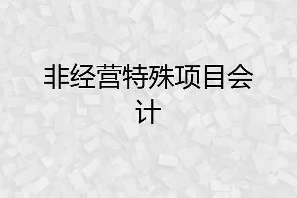 非经营特殊项目会计