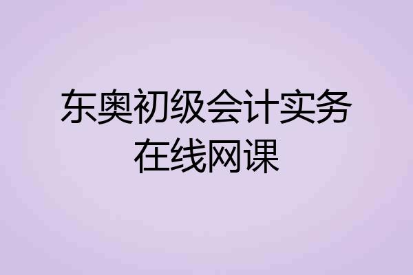 东奥初级会计实务在线网课