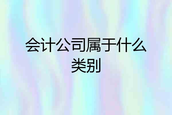 会计公司属于什么类别