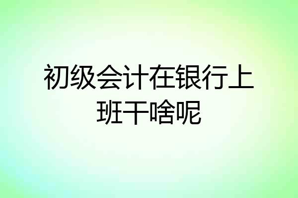 初级会计在银行上班干啥呢