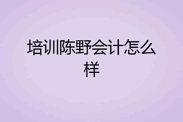 培训陈野会计怎么样