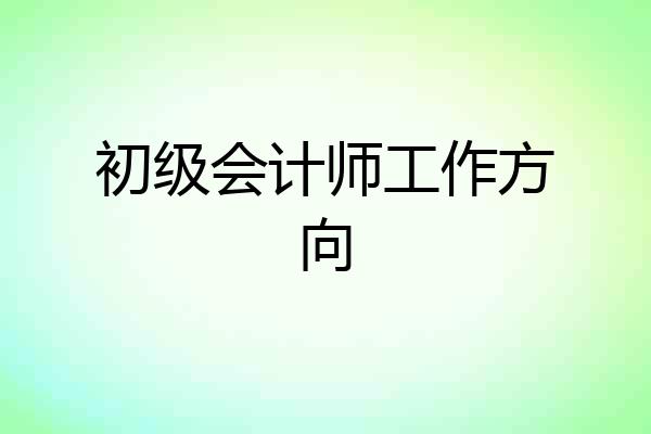 初级会计师工作方向