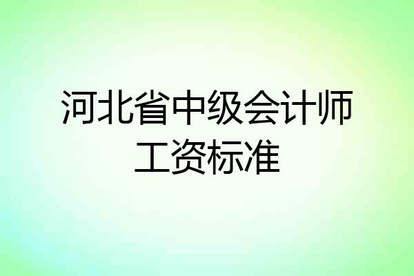 河北省中级会计师工资标准
