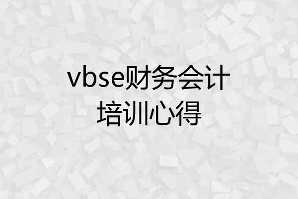 vbse财务会计培训心得