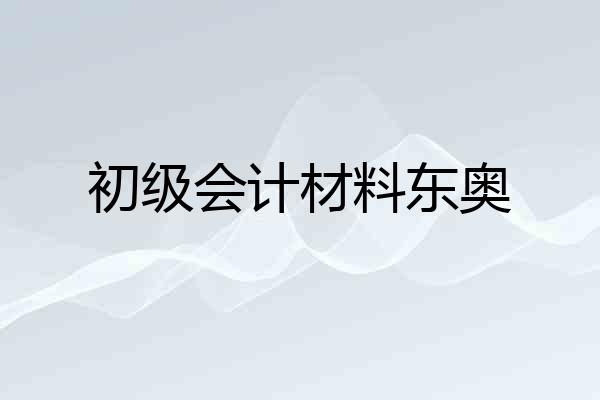初级会计材料东奥