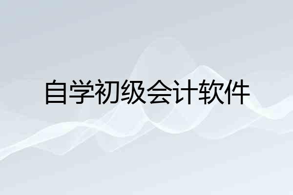 自学初级会计软件