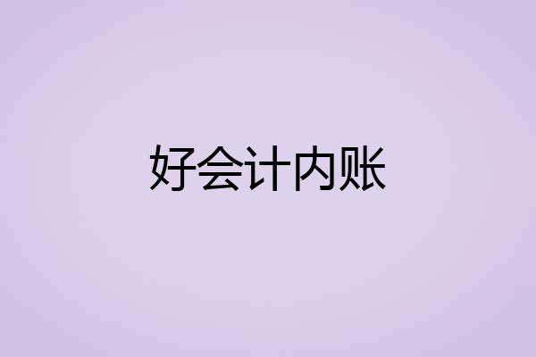 好会计内账