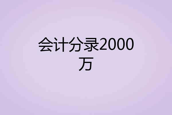会计分录2000万