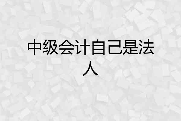 中级会计自己是法人