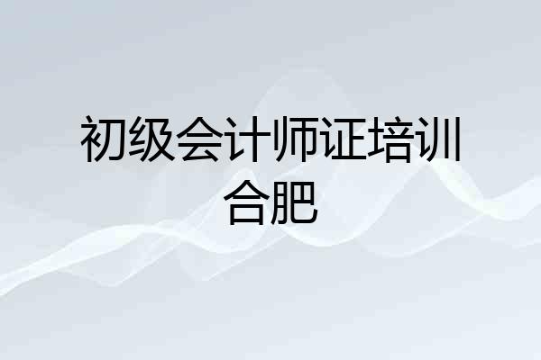 初级会计师证培训合肥