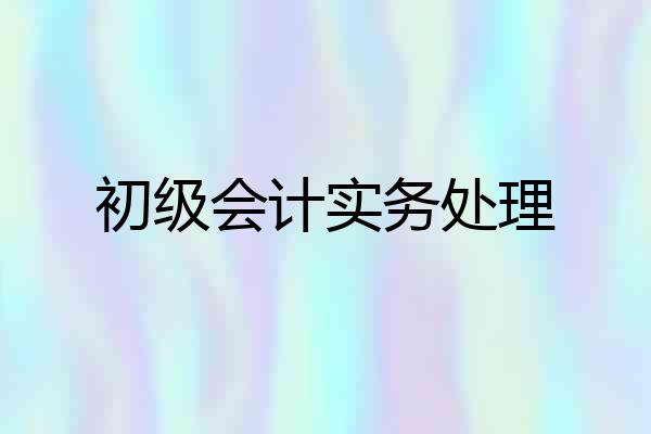 初级会计实务处理