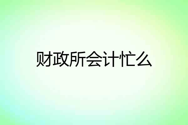 财政所会计忙么