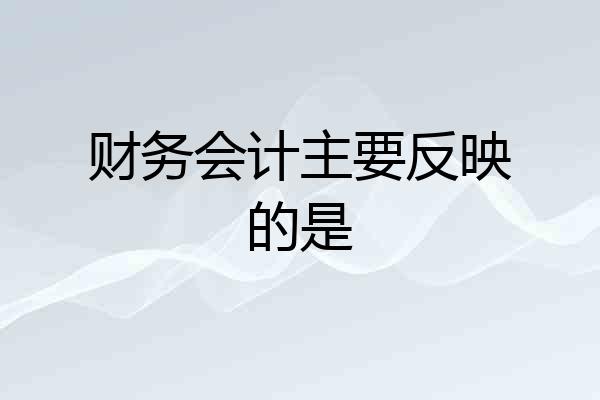财务会计主要反映的是