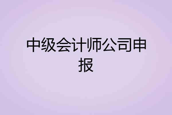 中级会计师公司申报