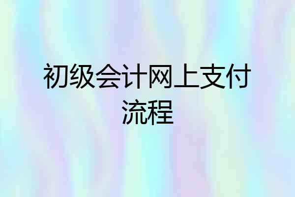 初级会计网上支付流程