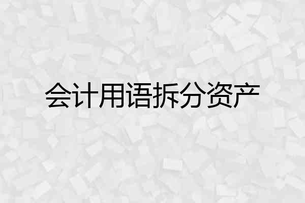 会计用语拆分资产
