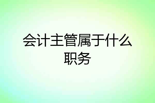 会计主管属于什么职务