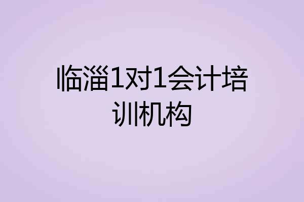 临淄1对1会计培训机构
