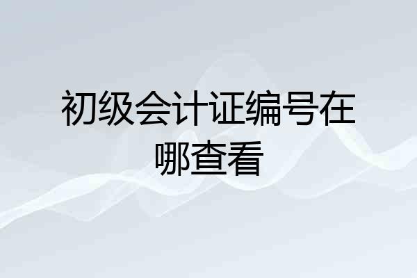 初级会计证编号在哪查看