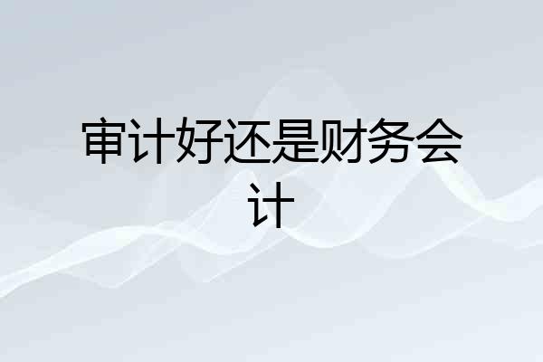 审计好还是财务会计