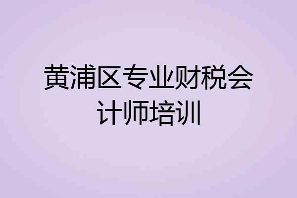 黄浦区专业财税会计师培训