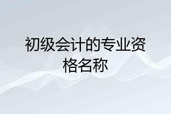 初级会计的专业资格名称