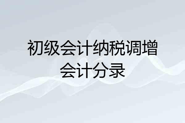 初级会计纳税调增会计分录