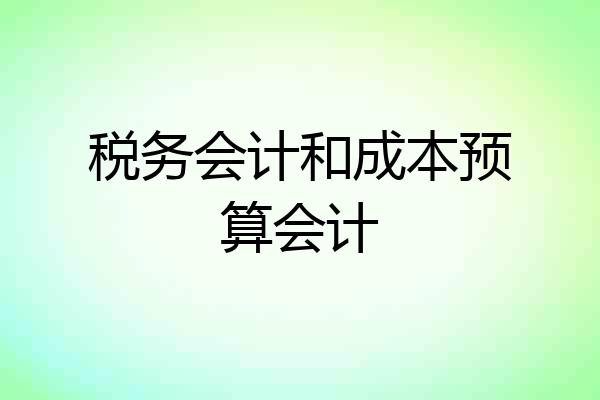 税务会计和成本预算会计