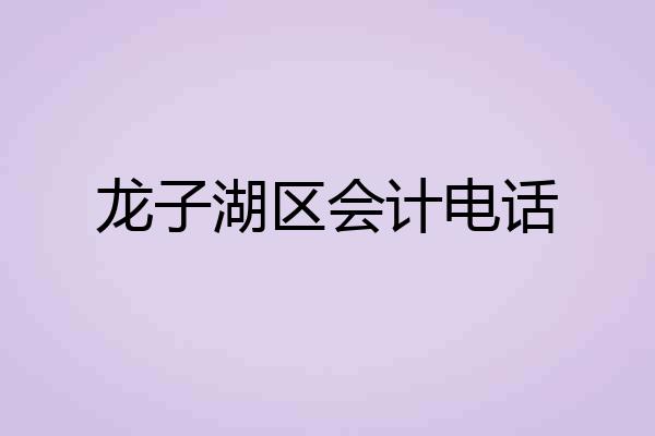 龙子湖区会计电话