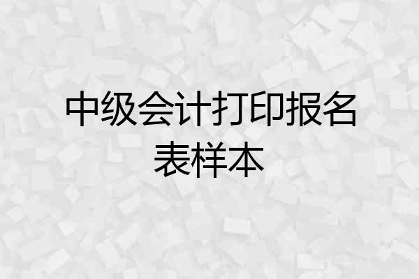 中级会计打印报名表样本